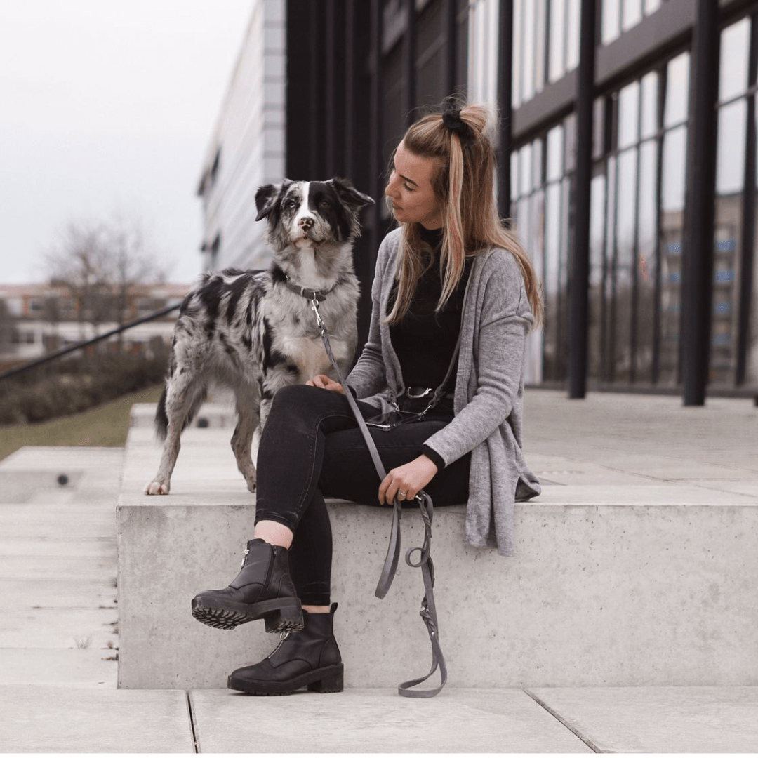 Butter Leather Dog Collar - Timeless Grey - Eva Pet - mollyandstitchus