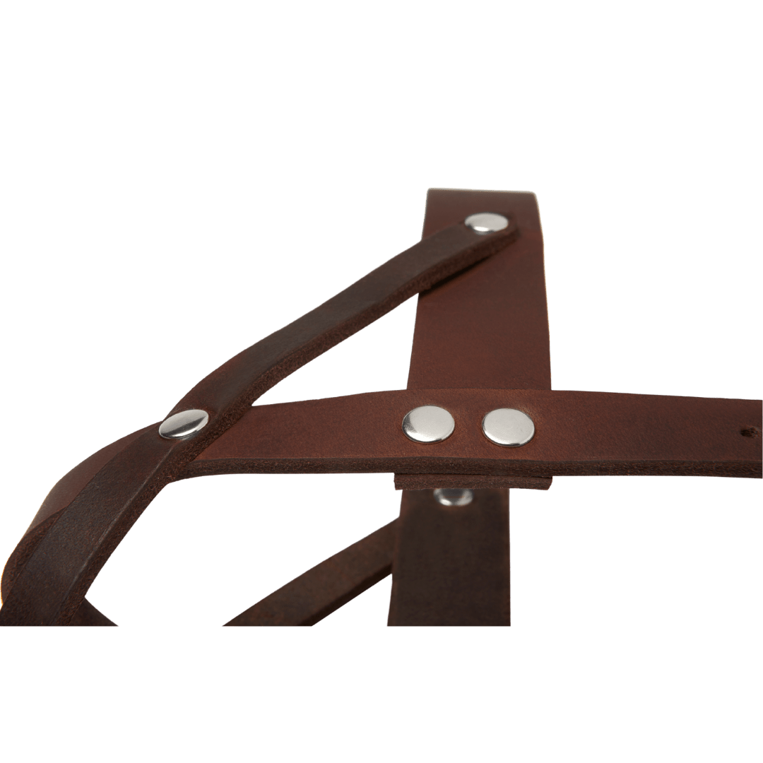 Butter Leather Dog Harness - Classic Brown - Eva Pet - mollyandstitchus