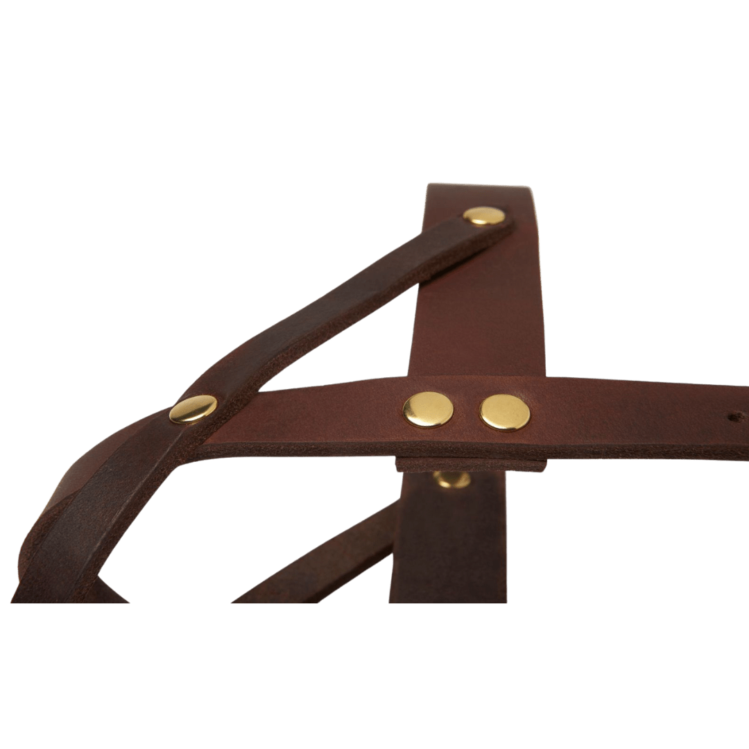 Butter Leather Dog Harness - Classic Brown - Eva Pet - mollyandstitchus