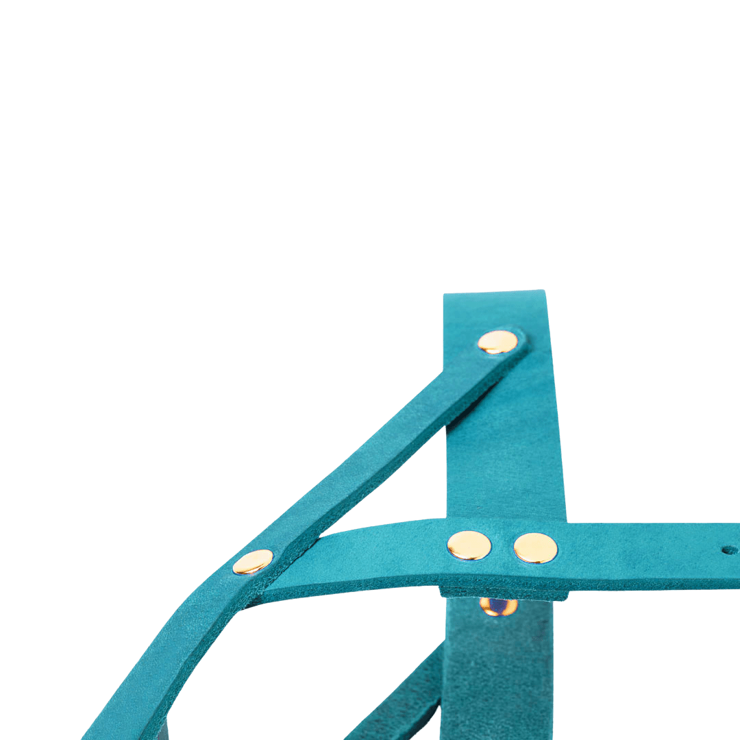 Butter Leather Dog Harness - Fiji - Eva Pet - mollyandstitchus