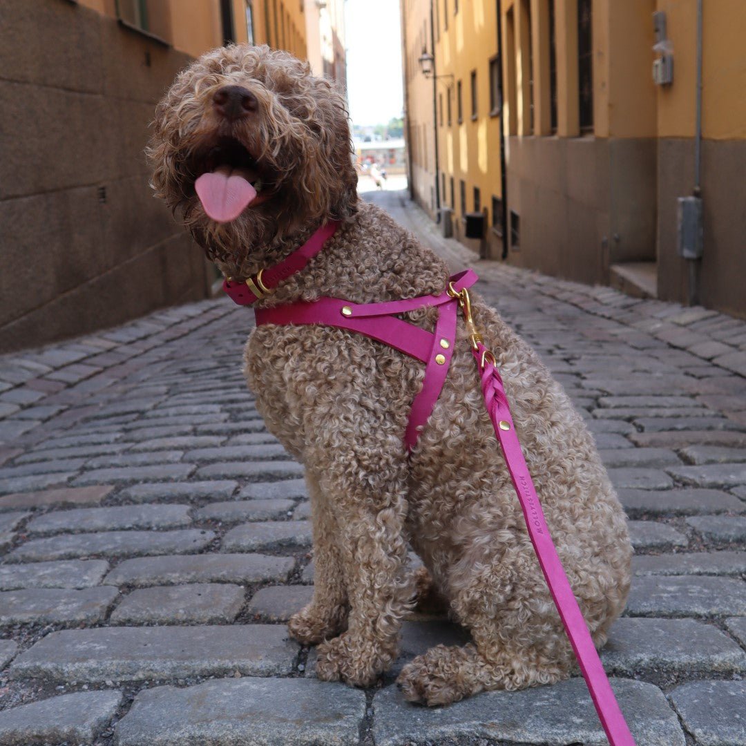 Butter Leather Dog Harness - Flamingo - Eva Pet - mollyandstitchus