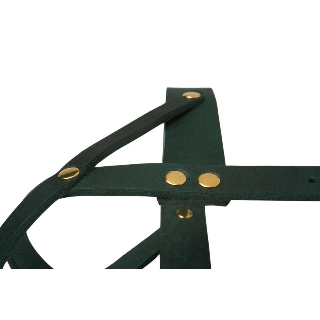 Butter Leather Dog Harness - Forest Green - Eva Pet - mollyandstitchus