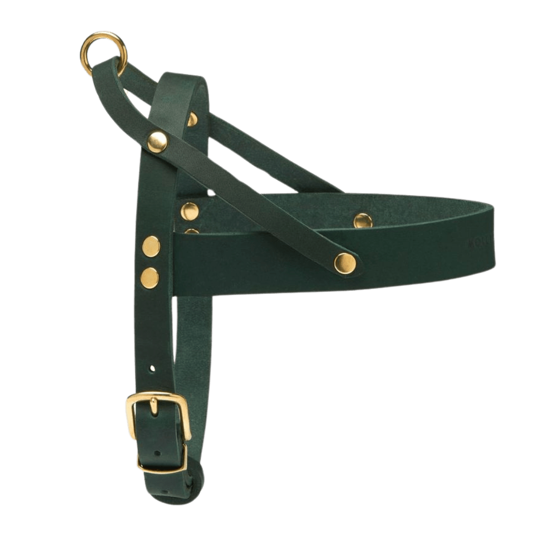 Butter Leather Dog Harness - Forest Green - Eva Pet - mollyandstitchus