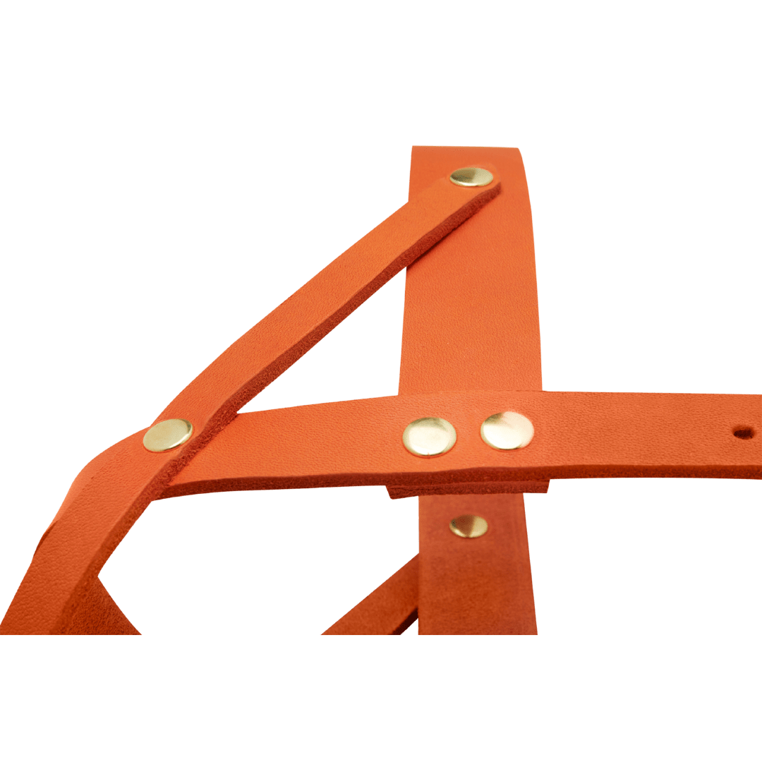 Butter Leather Dog Harness - Mango - Eva Pet - mollyandstitchus