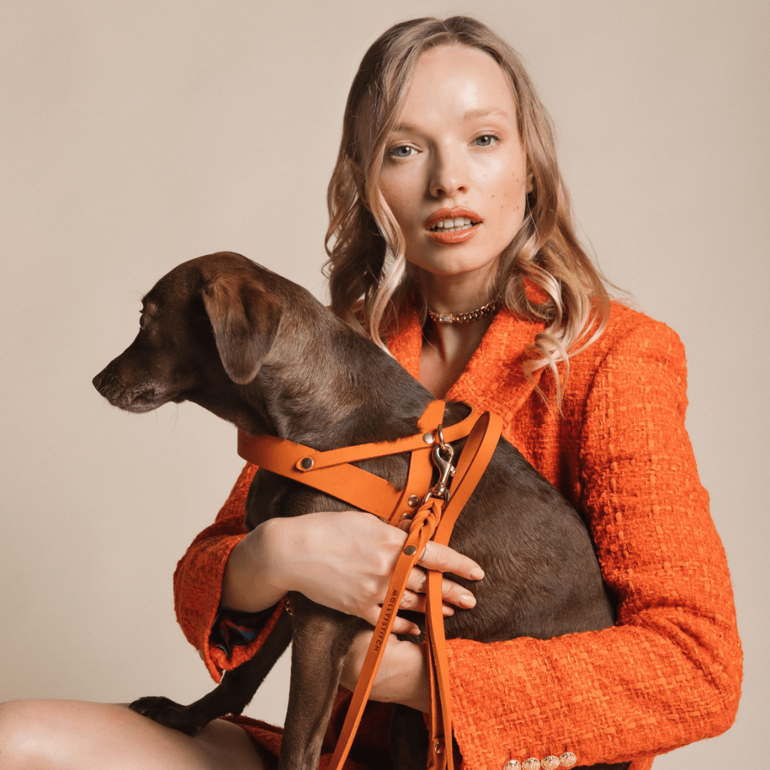 Butter Leather Dog Harness - Mango - Eva Pet - mollyandstitchus