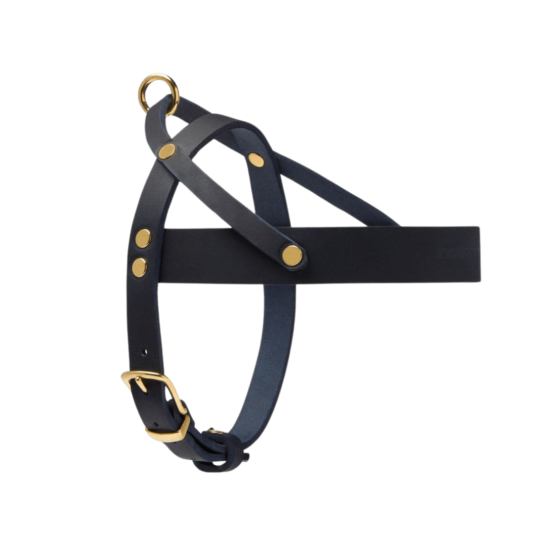 Butter Leather Dog Harness - Navy Blue - Eva Pet - mollyandstitchus