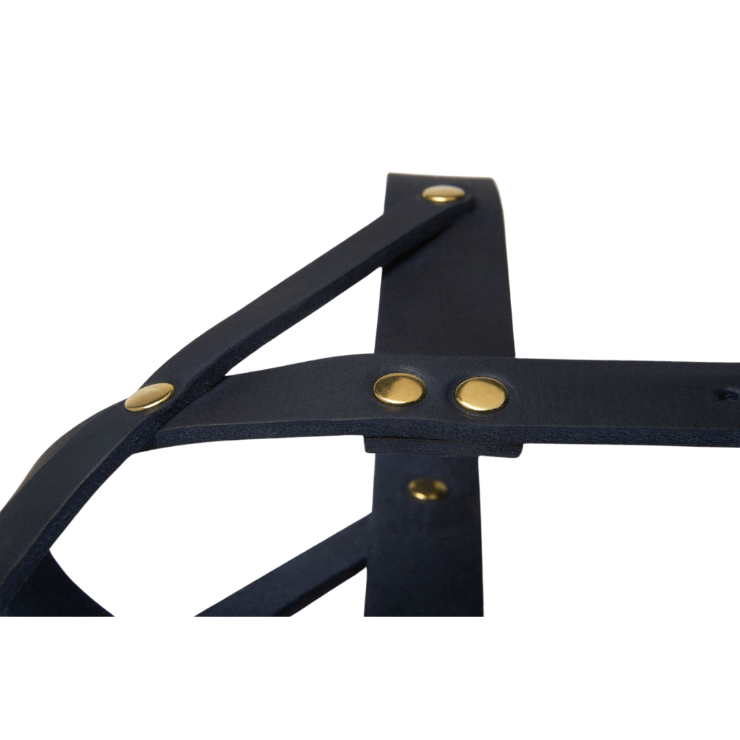 Butter Leather Dog Harness - Navy Blue - Eva Pet - mollyandstitchus