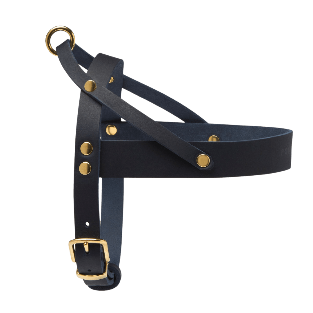 Butter Leather Dog Harness - Navy Blue - Eva Pet - mollyandstitchus