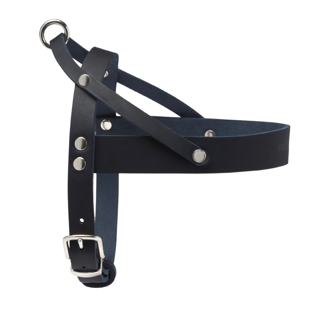 Butter Leather Dog Harness - Navy Blue - Eva Pet - mollyandstitchus