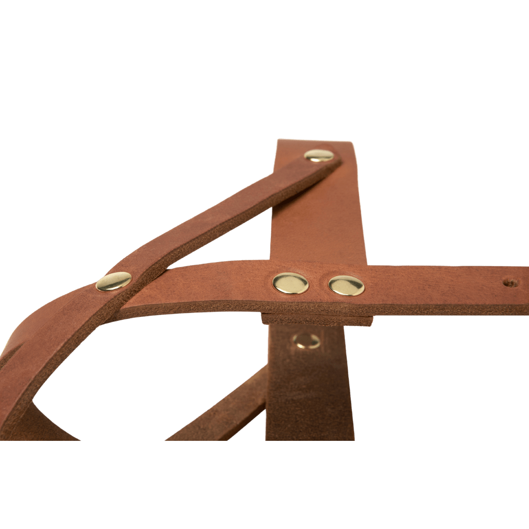 Butter Leather Dog Harness - Sahara Cognac - Eva Pet - mollyandstitchus