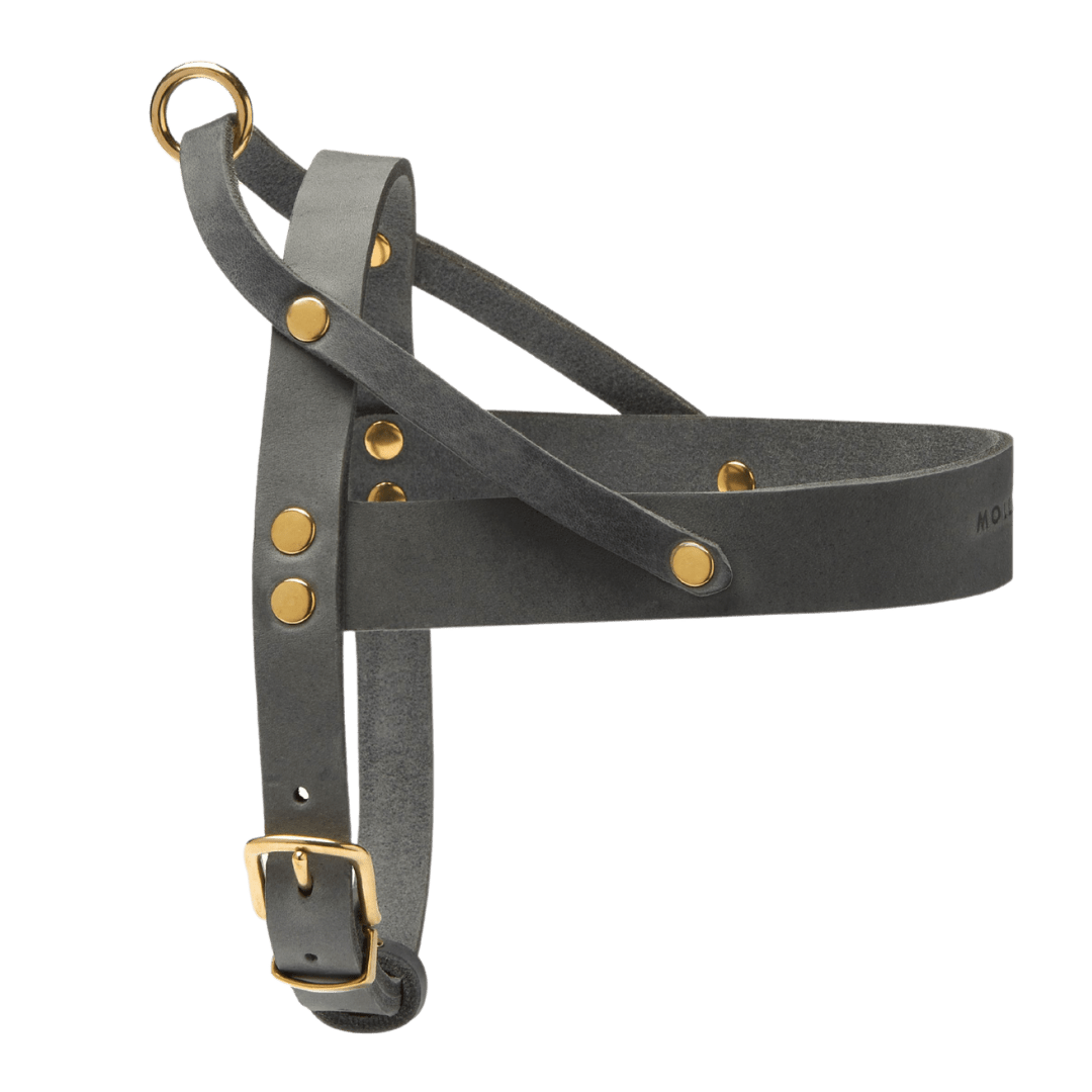 Butter Leather Dog Harness - Timeless Grey - Eva Pet - mollyandstitchus