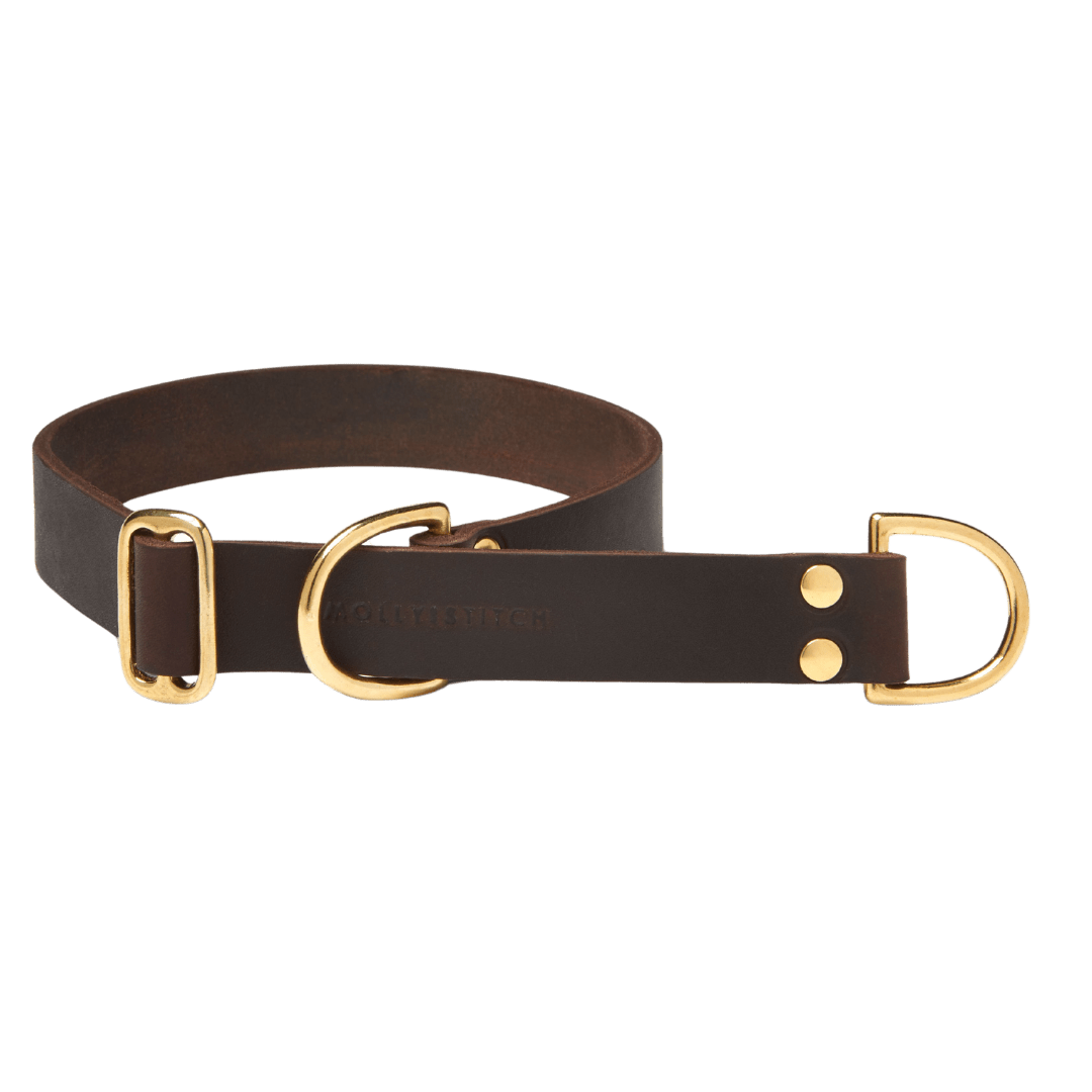 Butter Leather Retriever Dog Collar - Classic Brown - Eva Pet - mollyandstitchus