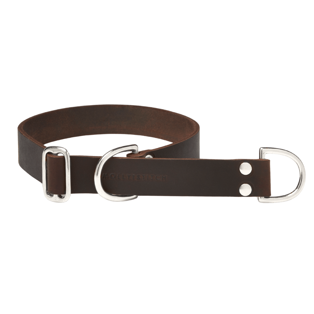 Butter Leather Retriever Dog Collar - Classic Brown - Eva Pet - mollyandstitchus