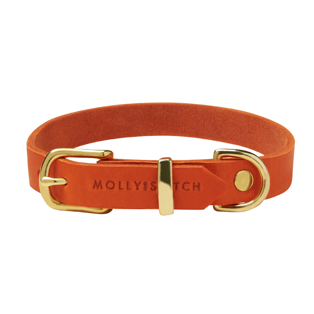 Butter Leather Dog Collar - Mango