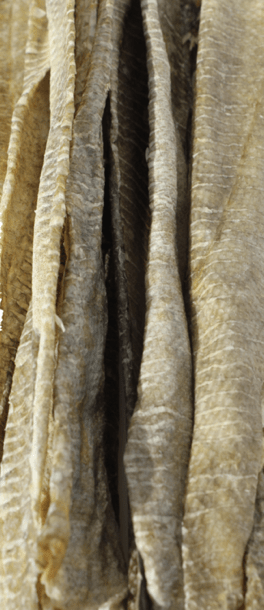 Cod Skin Pieces Dog Treats - Eva Pet - Icelandic+