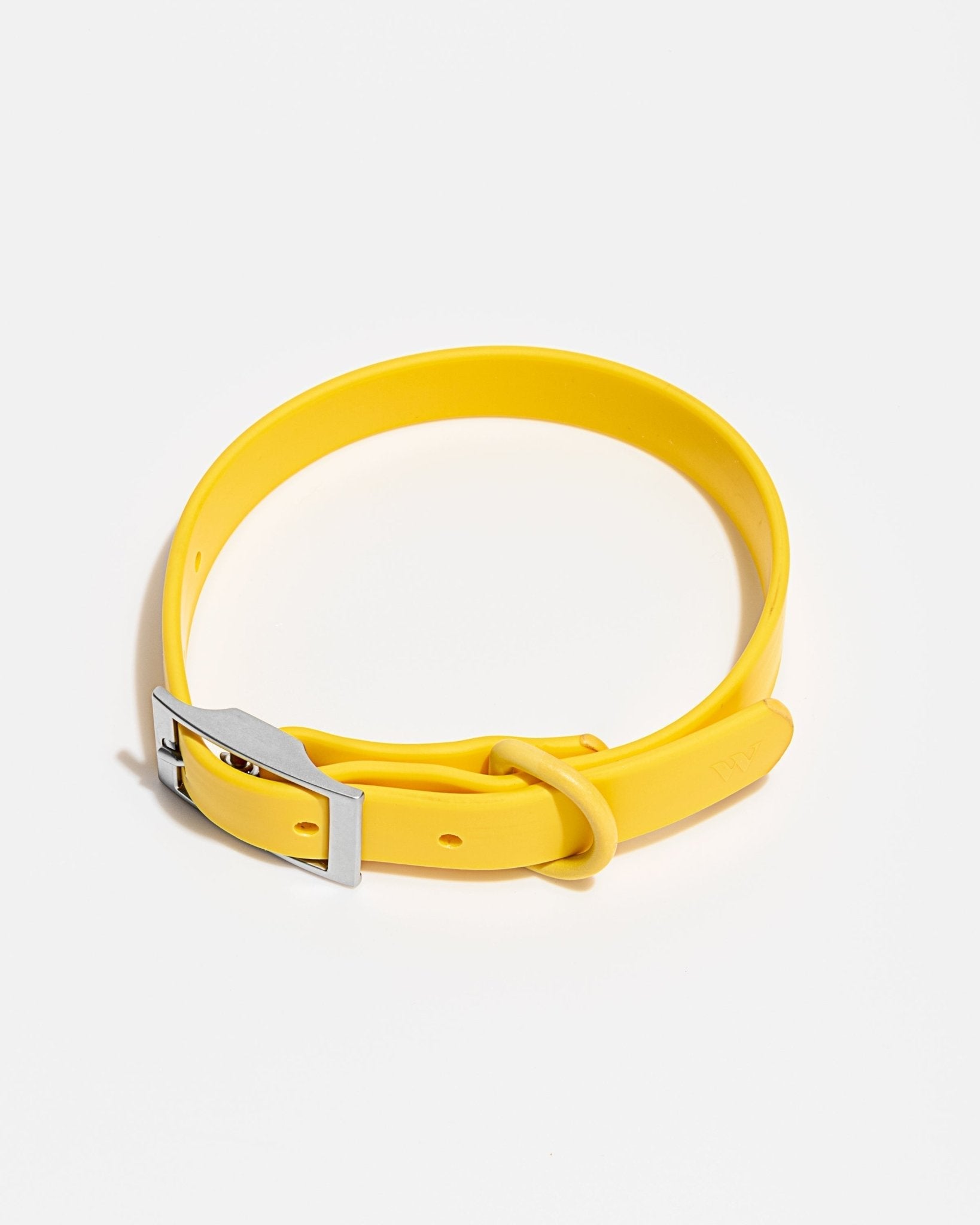 Collar - Eva Pet - Wild One