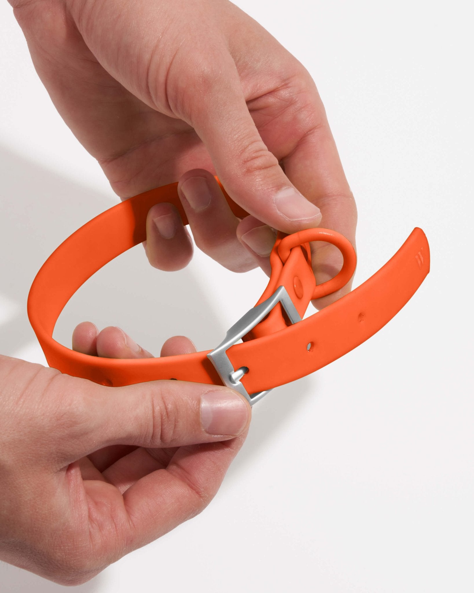 Collar - Eva Pet - Wild One