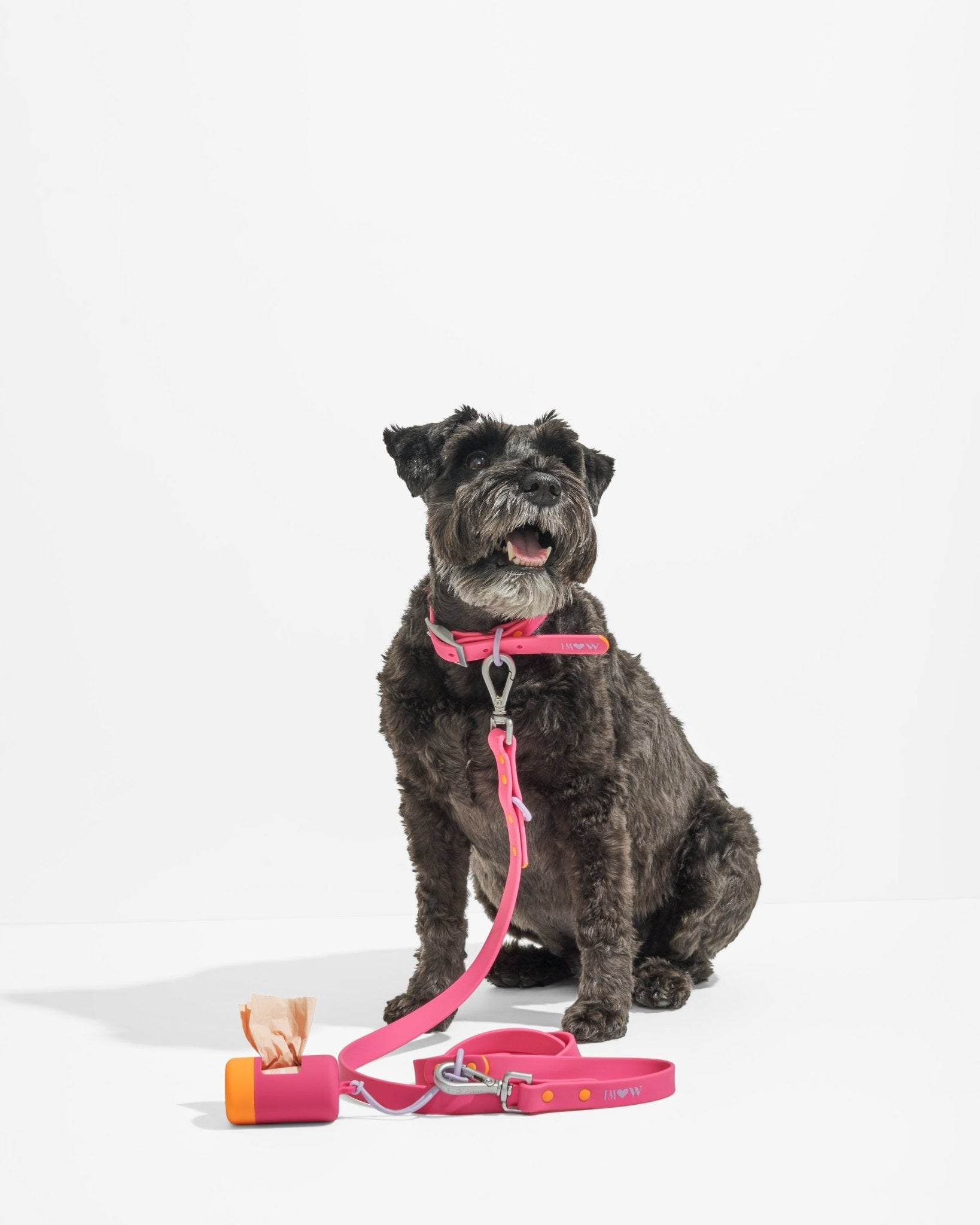 Collar - Eva Pet - Wild One