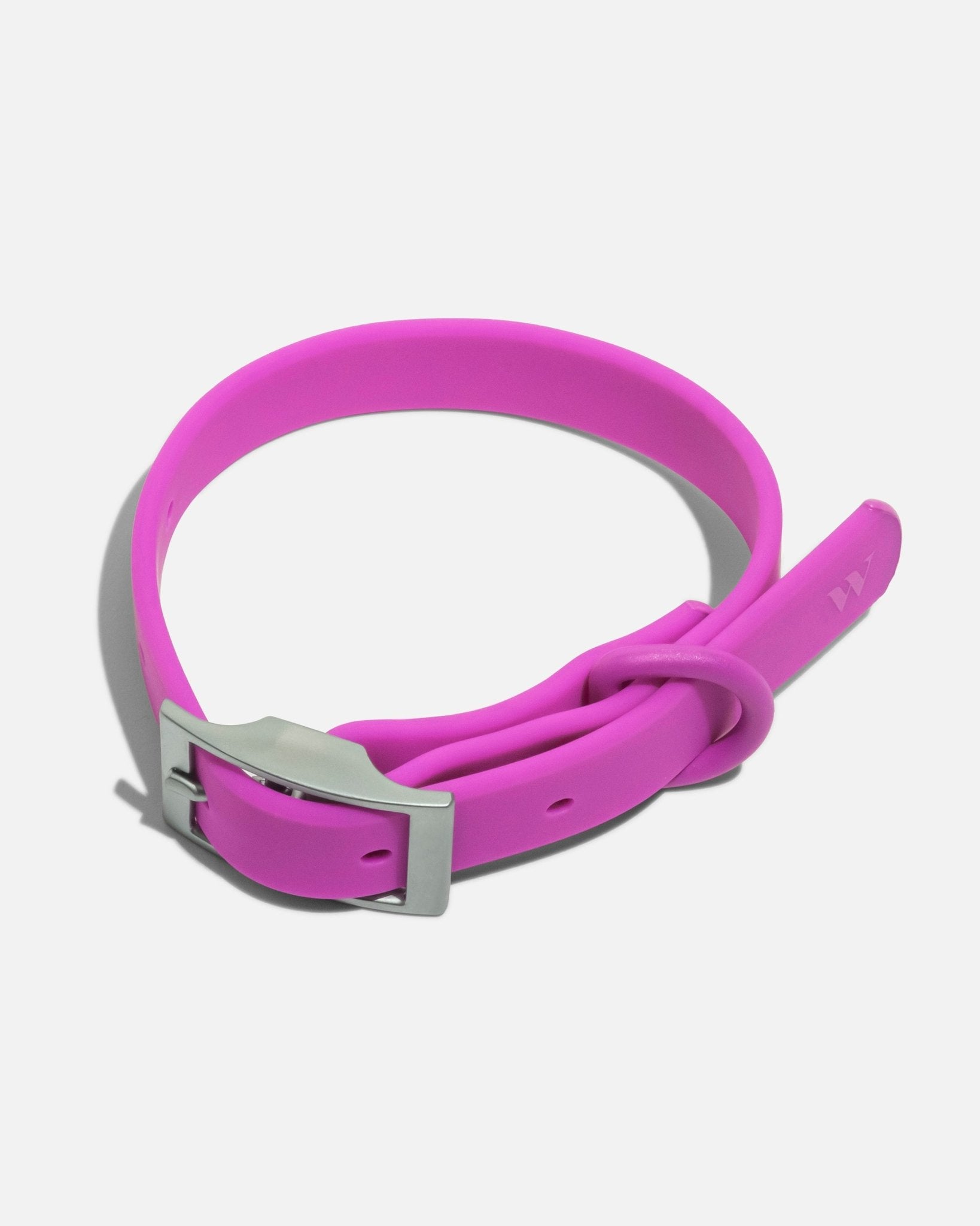 Collar - Eva Pet - Wild One