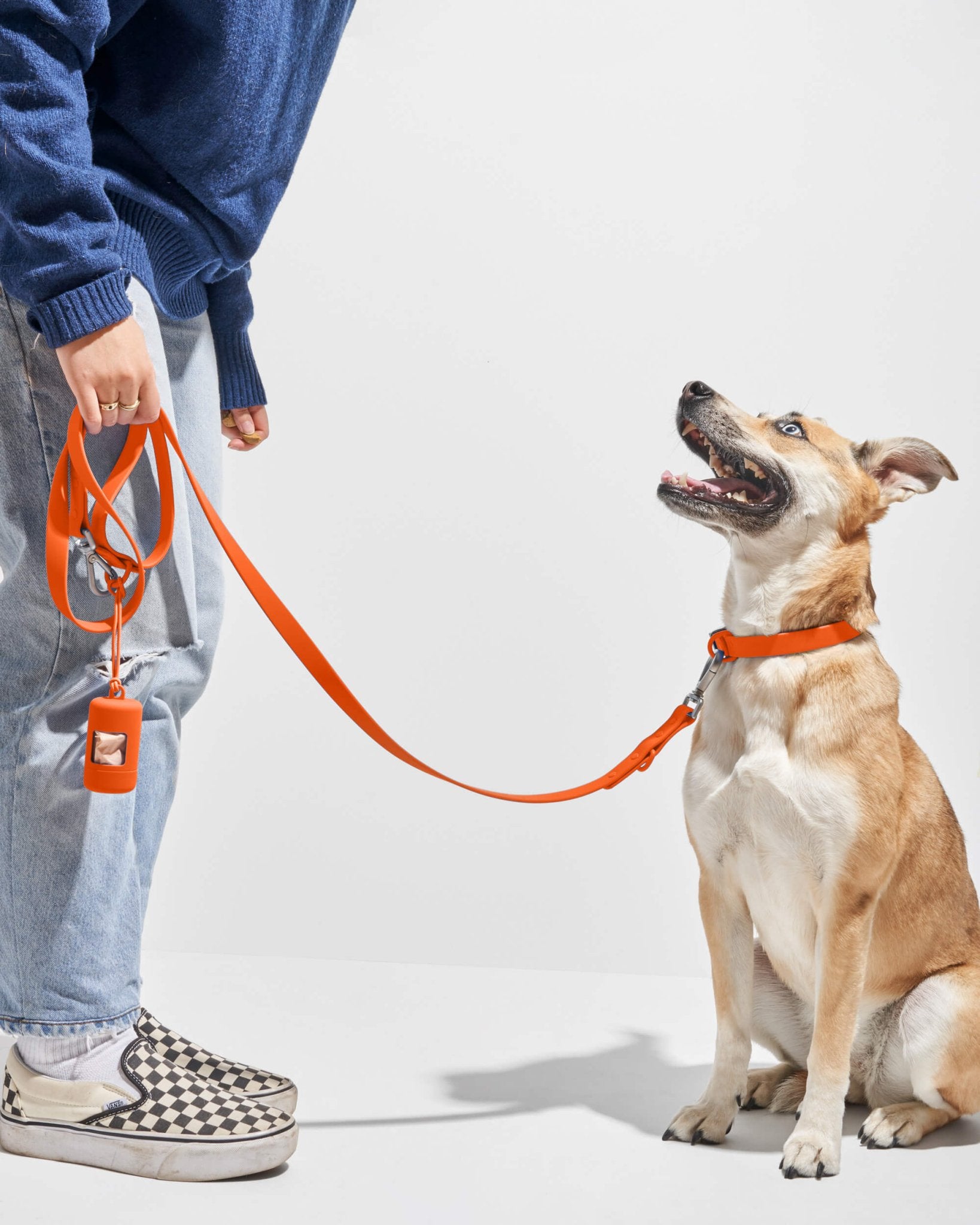 Collar - Eva Pet - Wild One