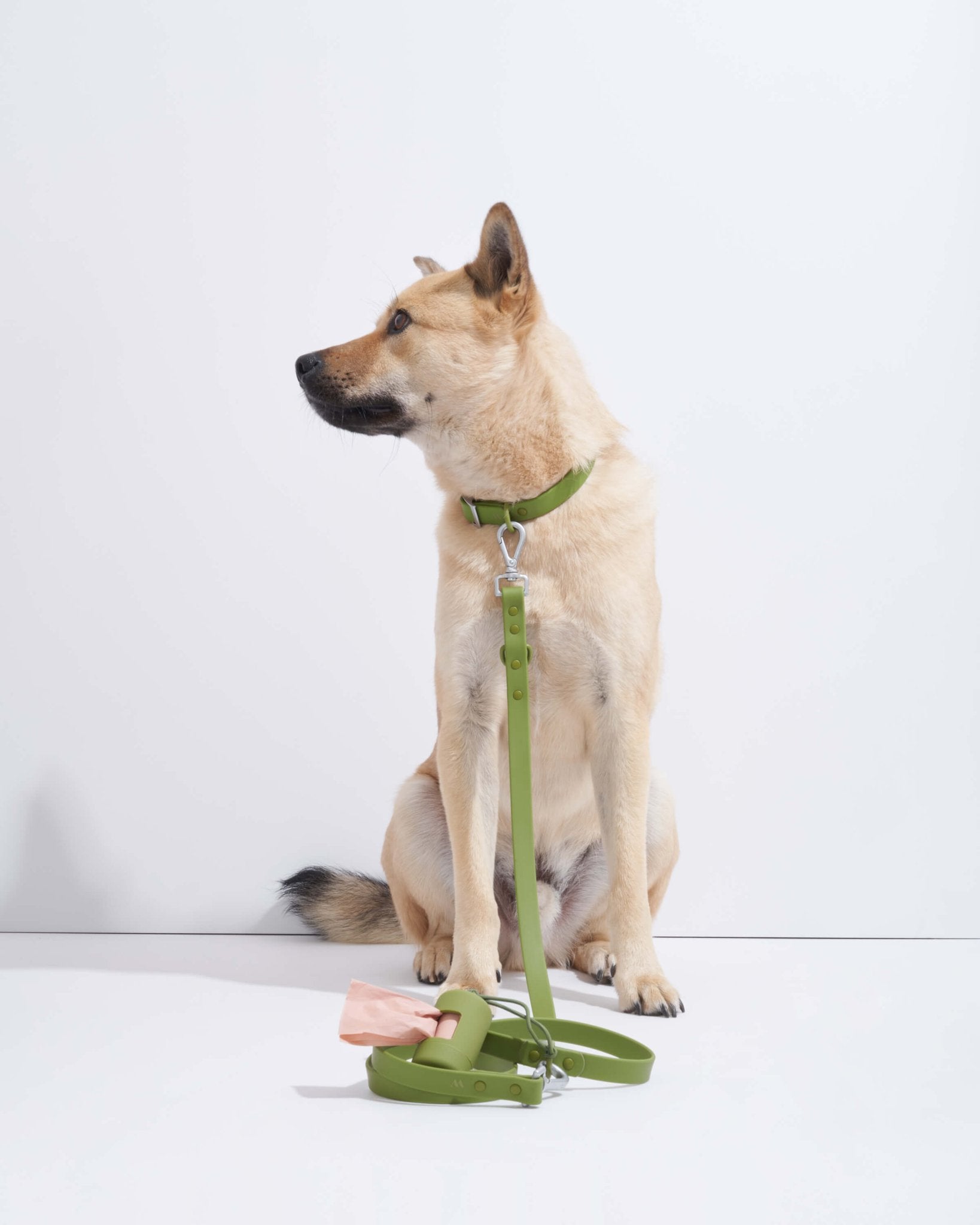 Collar - Eva Pet - Wild One