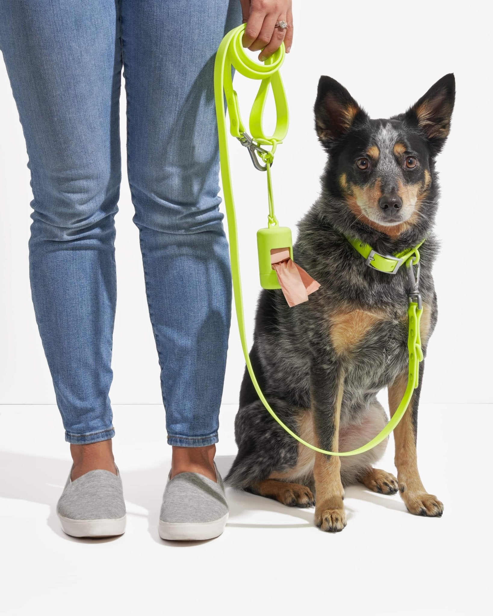 Collar - Eva Pet - Wild One