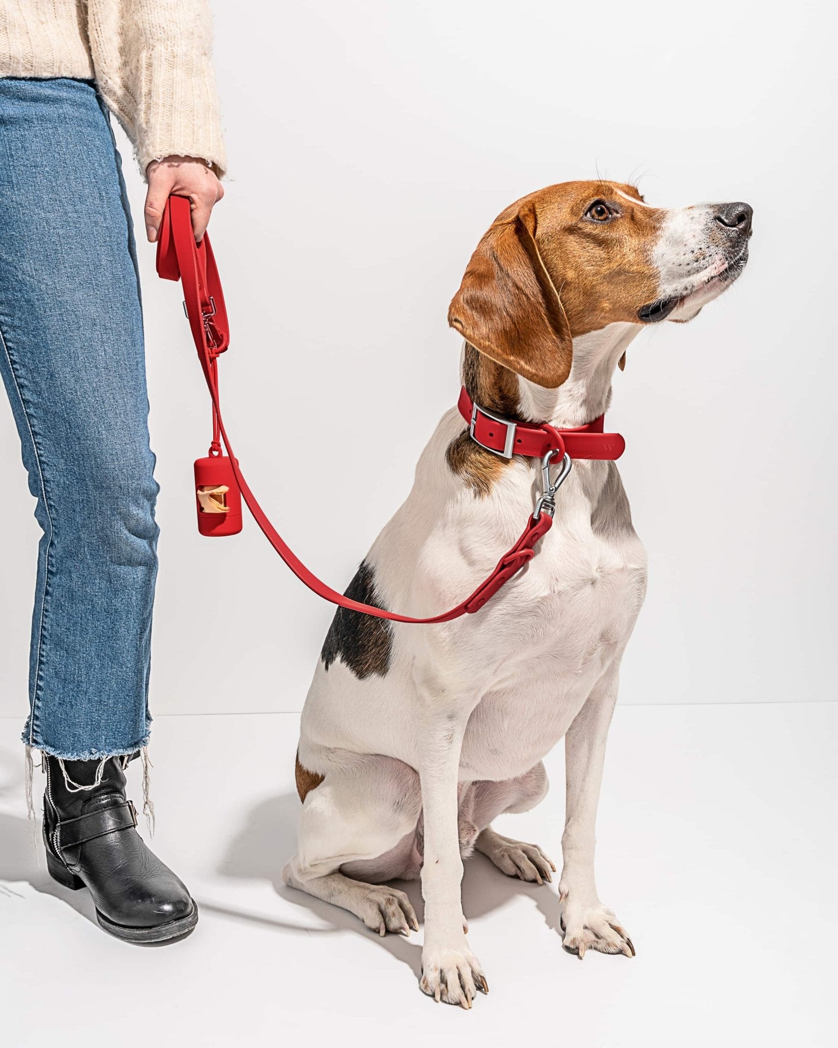 Collar - Eva Pet - Wild One