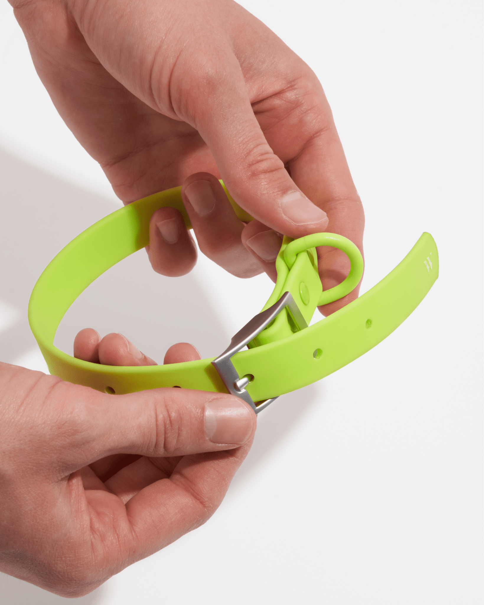 Collar - Eva Pet - Wild One