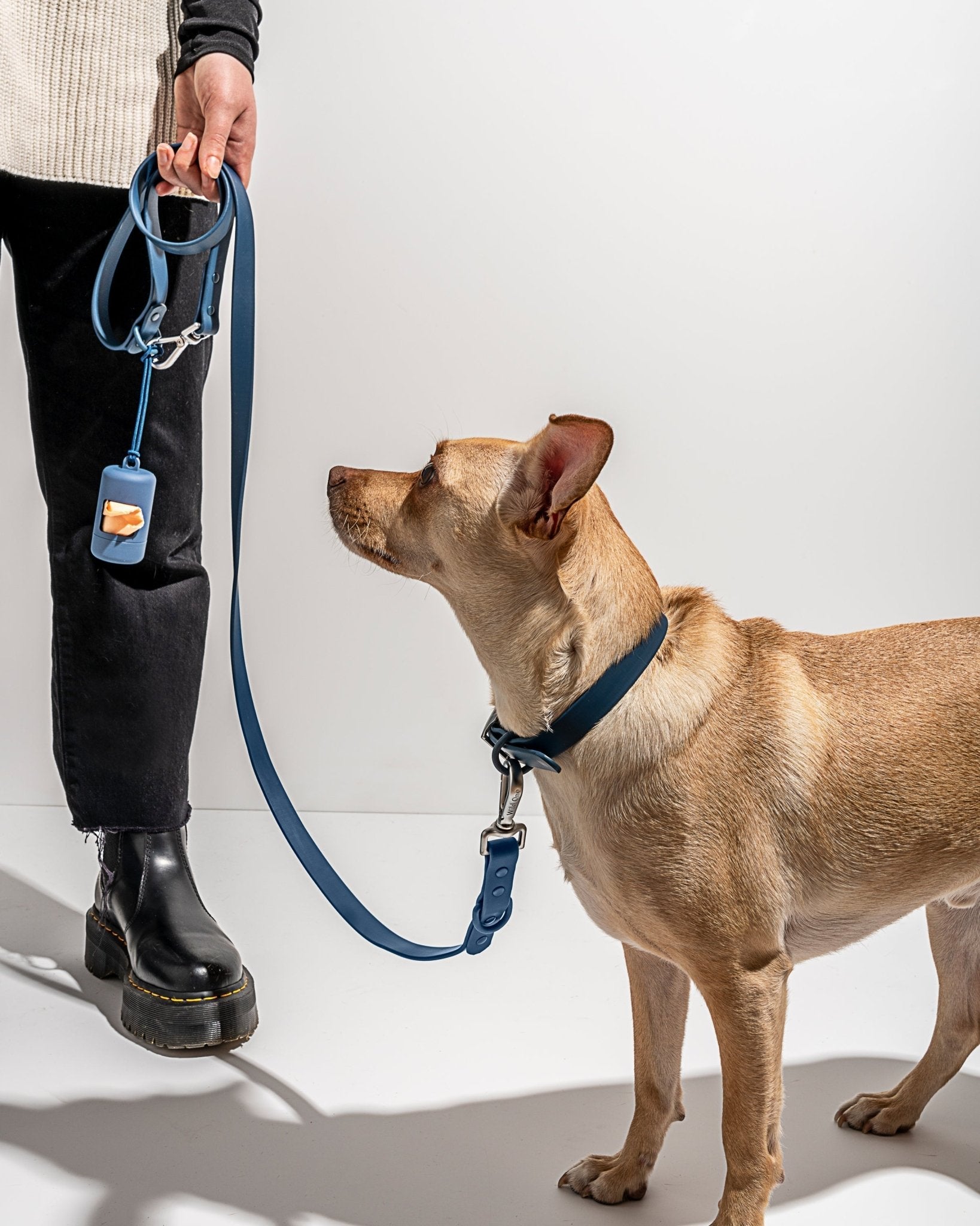 Collar - Eva Pet - Wild One