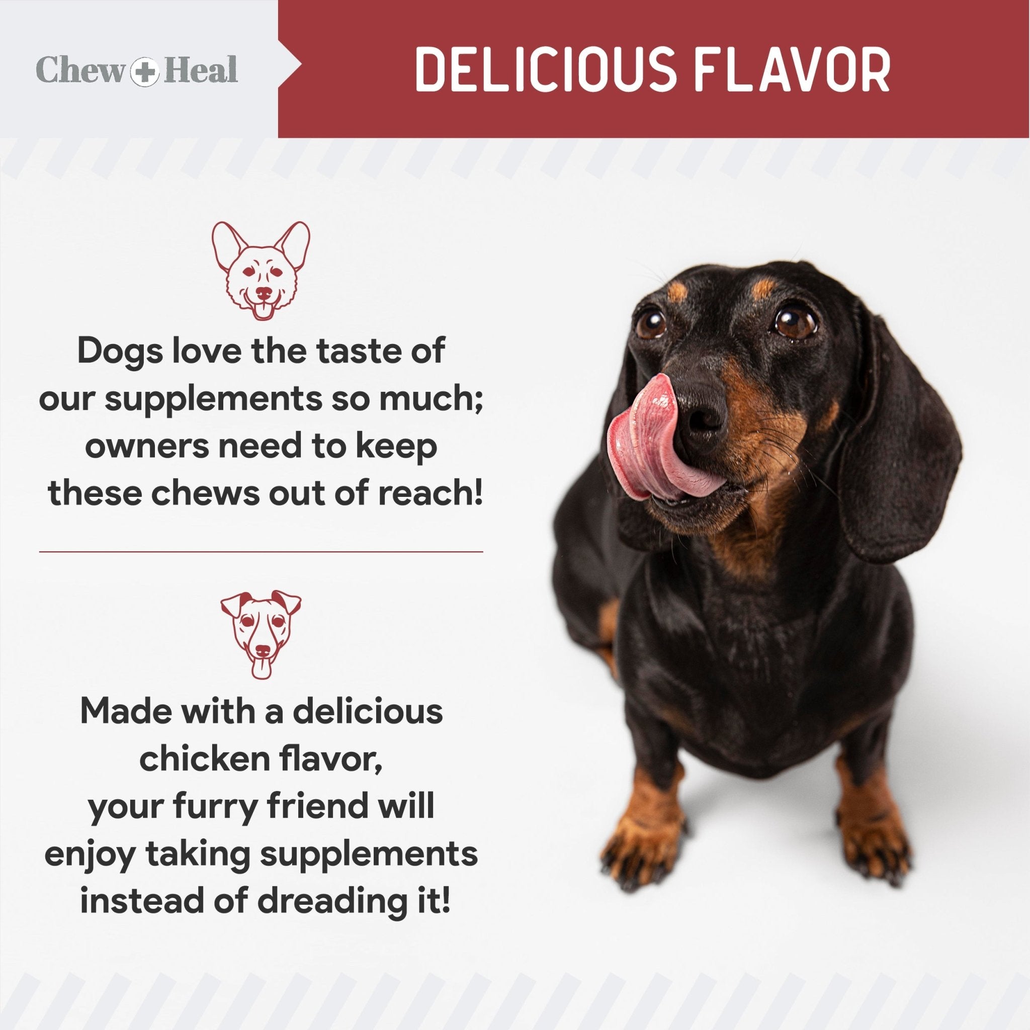 Cranberry Support Urinary Tract Supplement for Dogs - Eva Pet - Chew + Heal