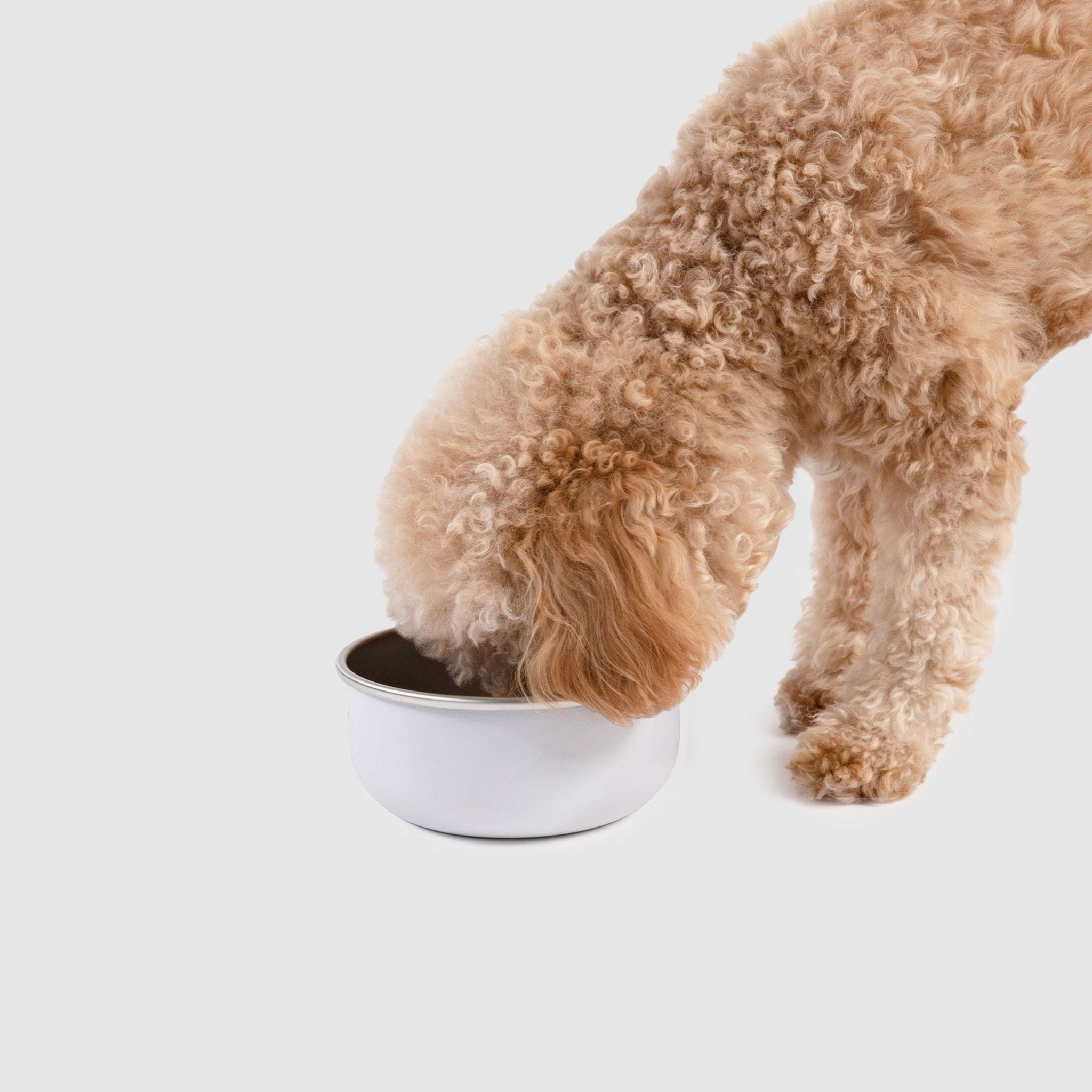Crate Bowl - Eva Pet - Diggs