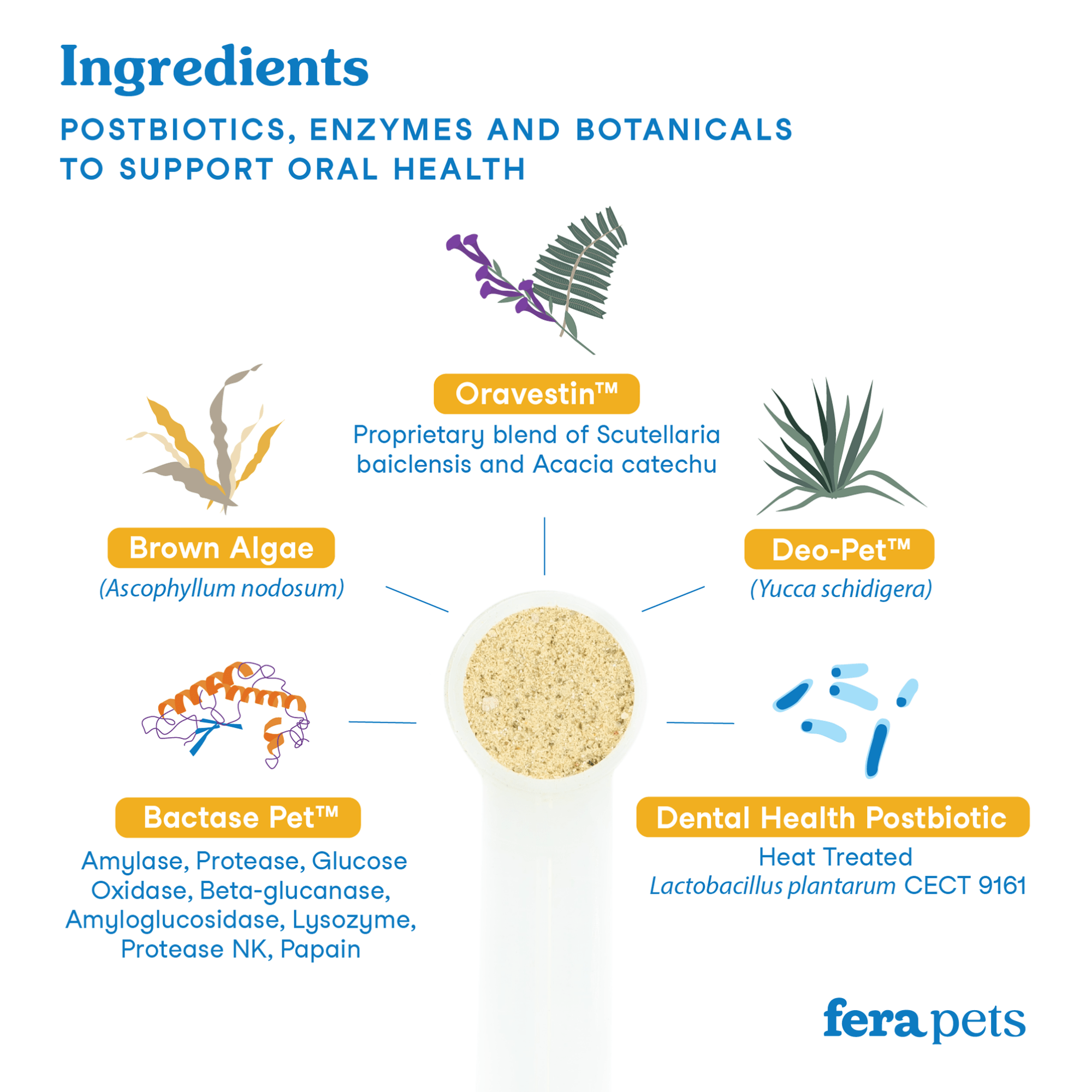 Dental Support - Eva Pet - Fera Pets