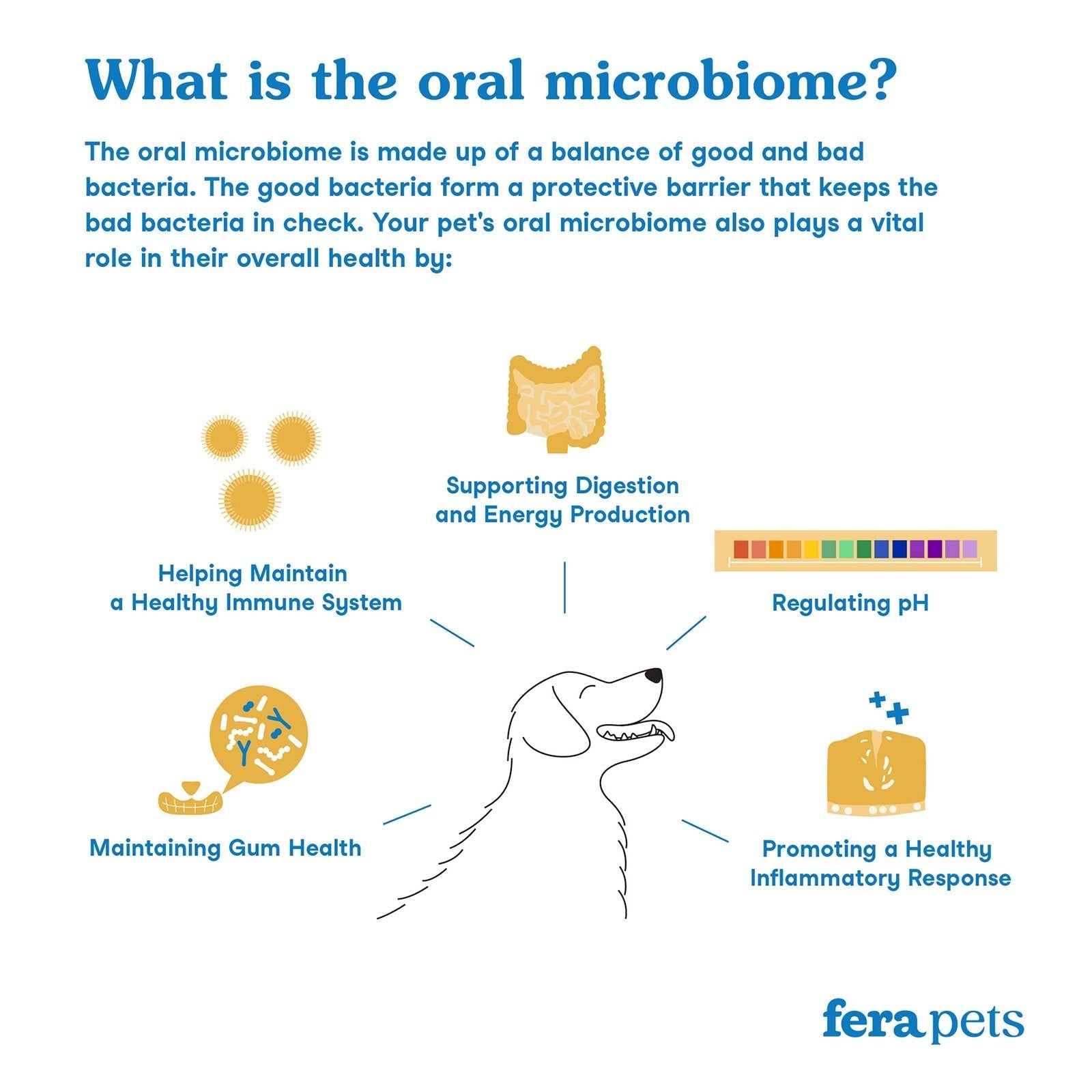 Dental Support - Eva Pet - Fera Pets