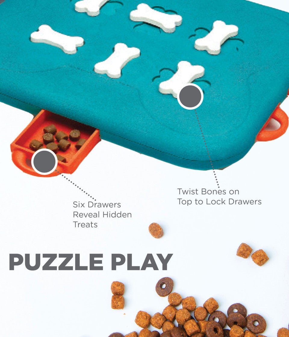Dog Casino Interactive Treat Puzzle Dog Toy, Turquoise - Eva Pet - Outward Hound