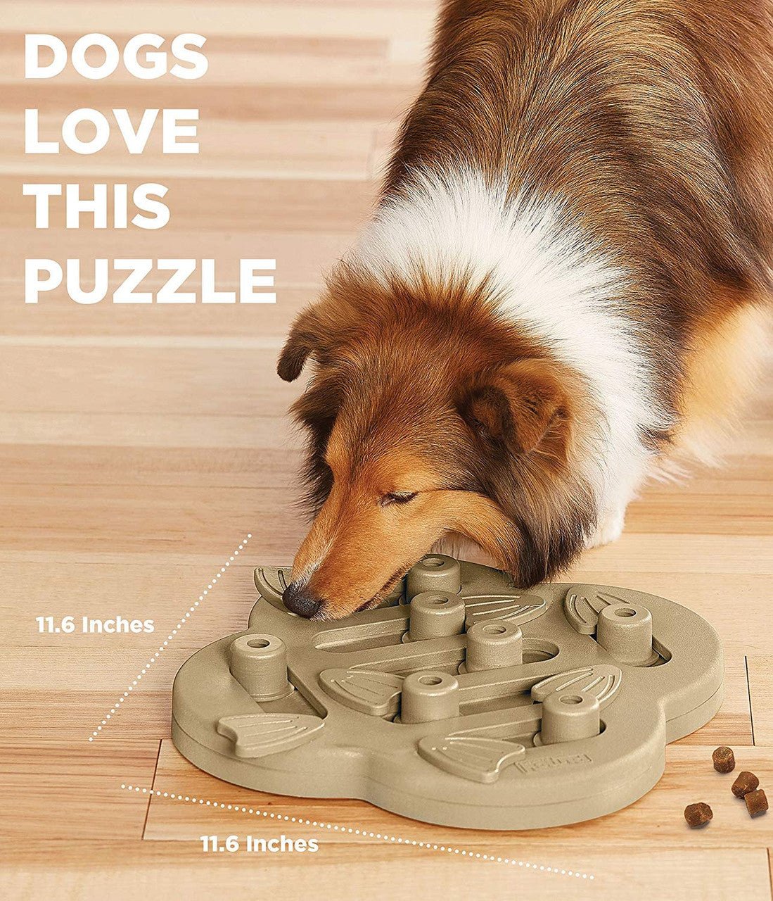 Dog Hide N' Slide Interactive Treat Puzzle Dog Toy, Tan - Eva Pet - Outward Hound