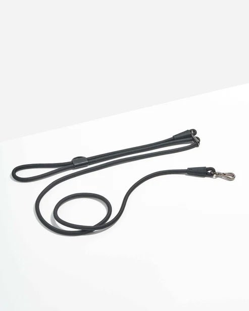 Dog Leash - Eva Pet - Eva Pet