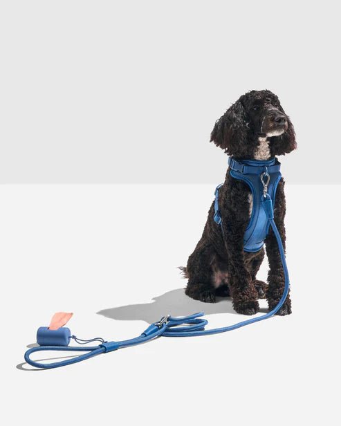Dog Leash - Eva Pet - Eva Pet