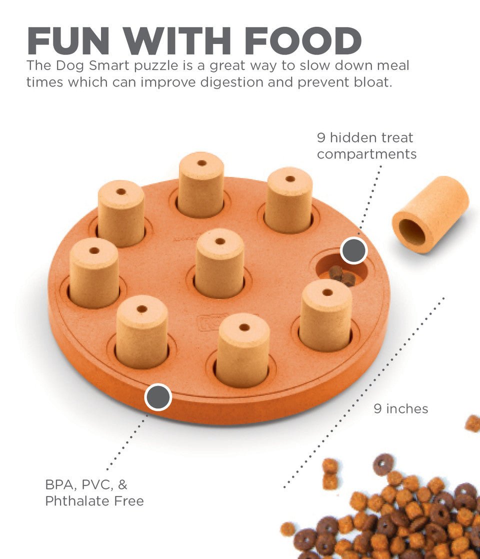 Dog Smart Composite Interactive Treat Puzzle Dog Toy, Orange - Eva Pet - Outward Hound