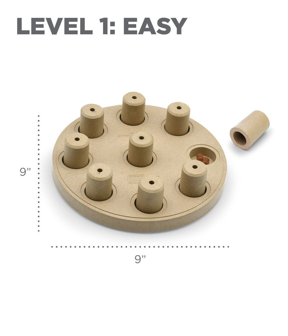 Dog Smart Composite Interactive Treat Puzzle Dog Toy, Tan - Eva Pet - Outward Hound