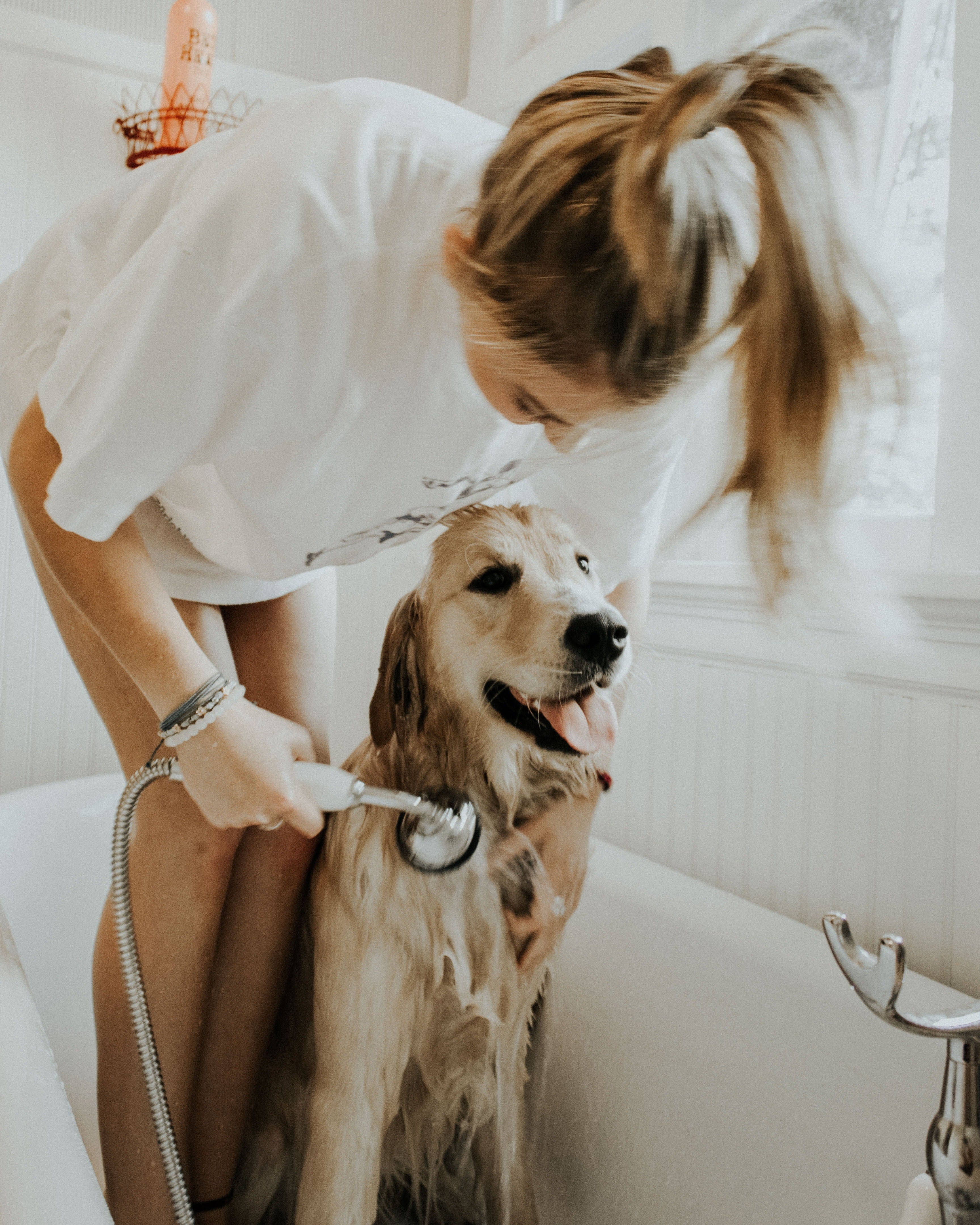 dog bath golden retriever girl