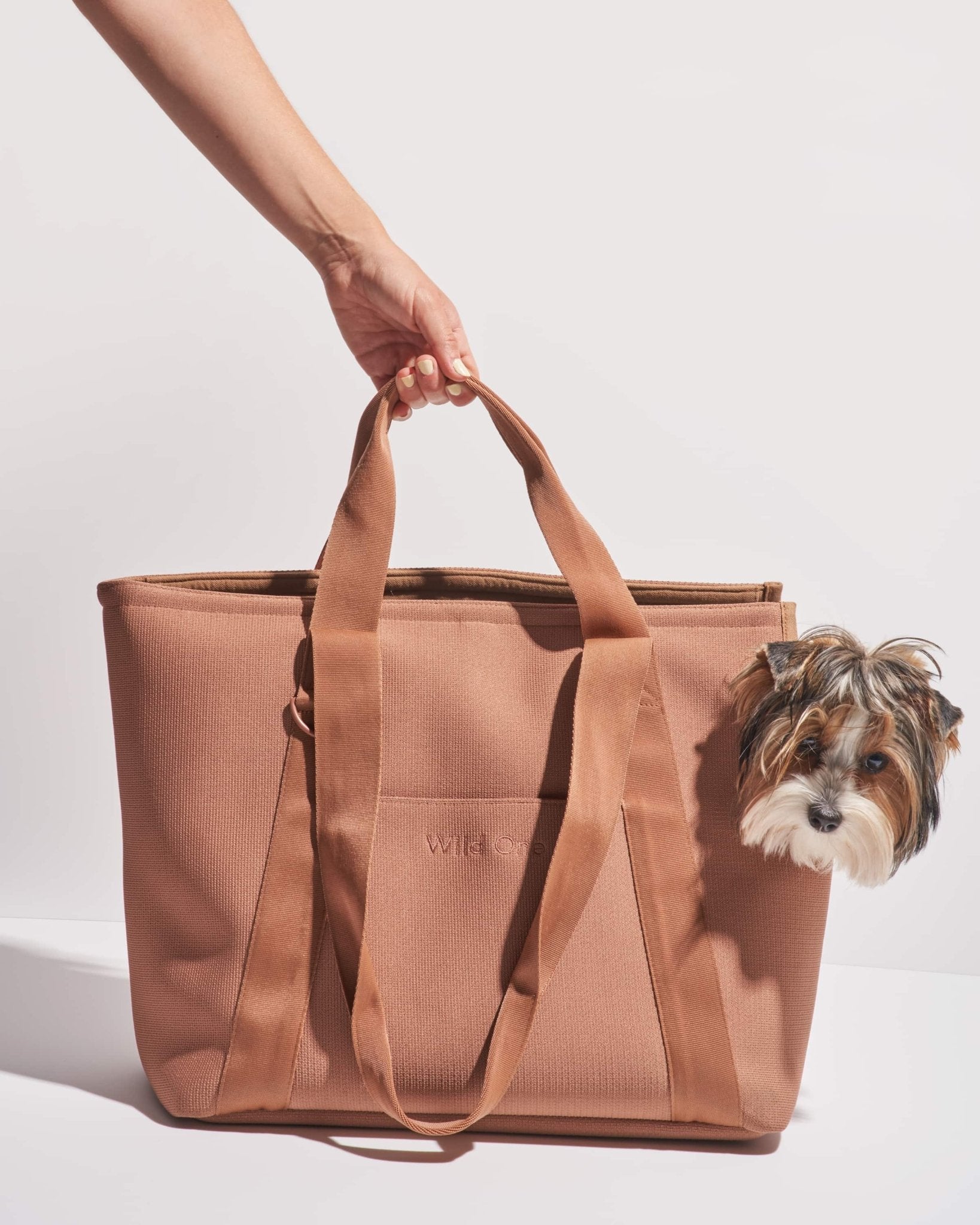 Everyday Carrier - Eva Pet - Wild One