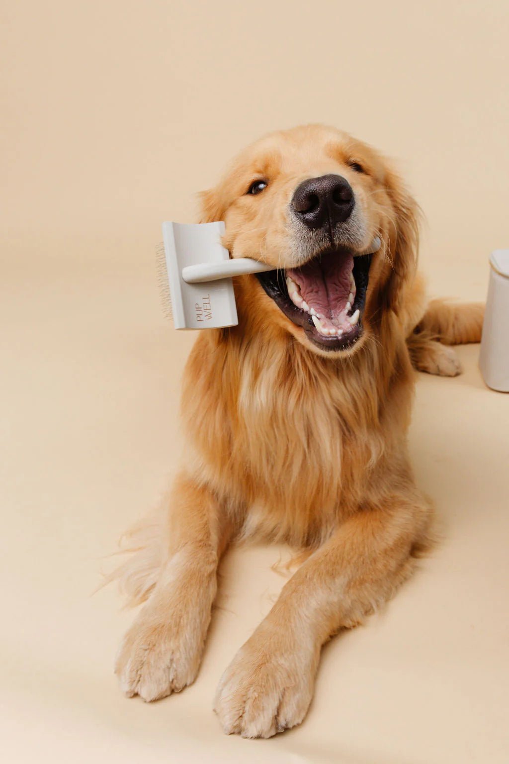 Everyday Slicker Brush - Eva Pet - Pupwell