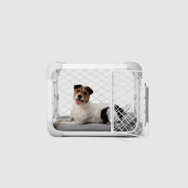 Evolv Dog Crate - Eva Pet - Diggs