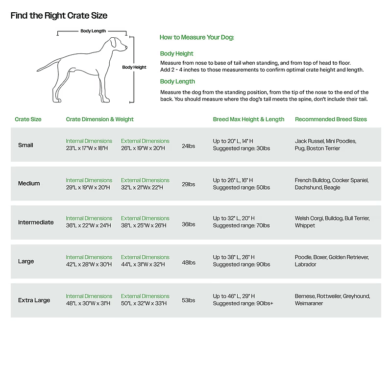Evolv Dog Crate - Eva Pet - Diggs
