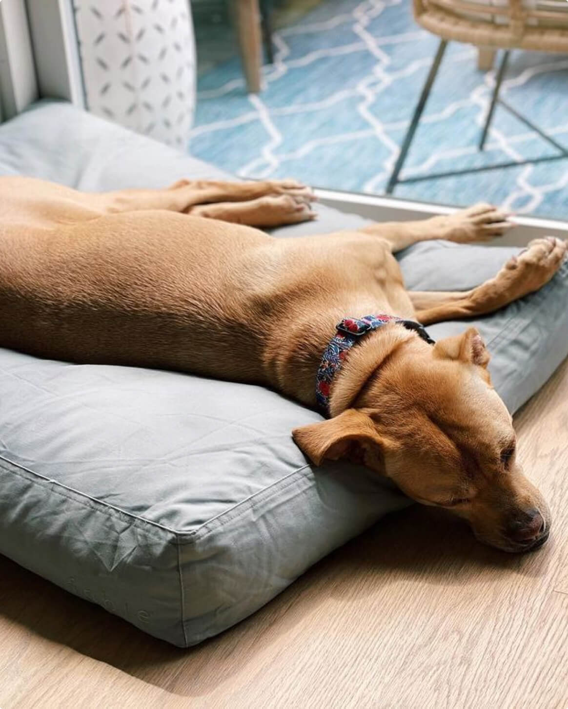 Fable Bed - Eva Pet - Fable Pets