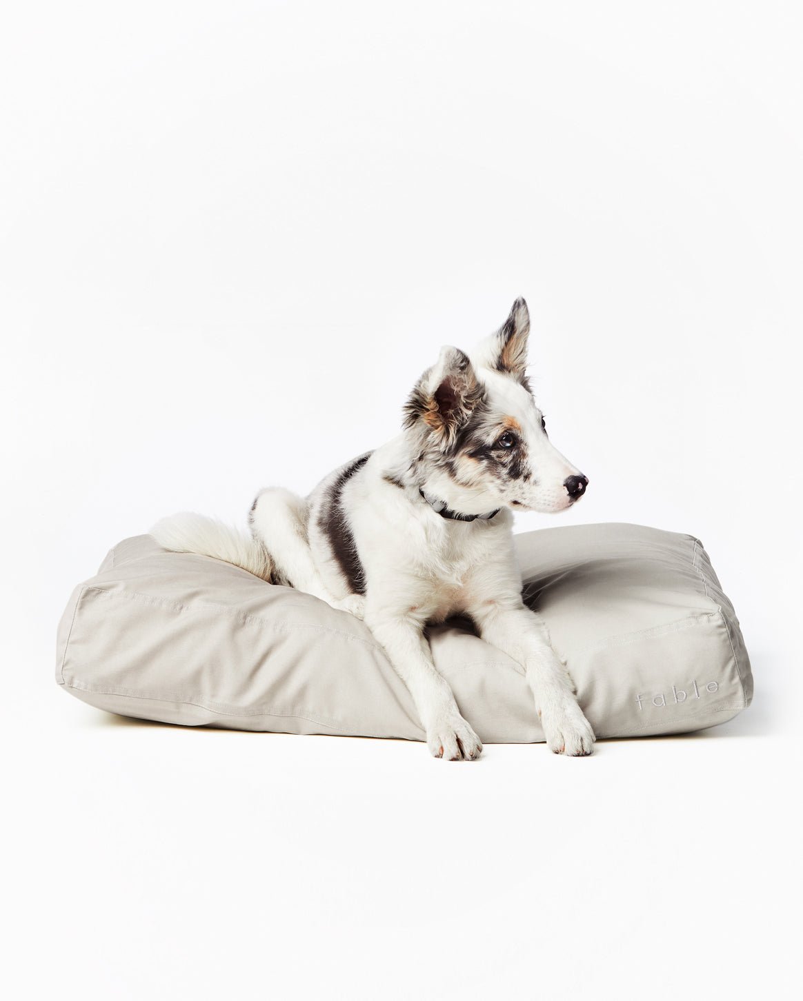 Fable Bed - Eva Pet - Fable Pets