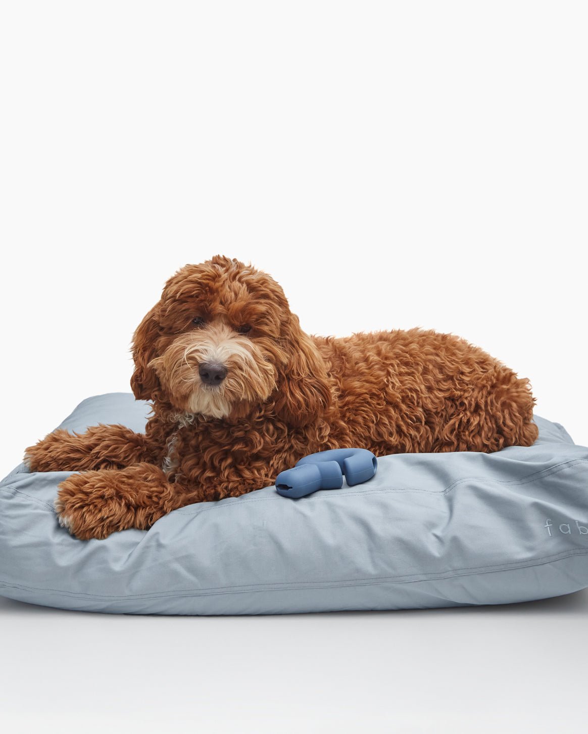 Fable Bed - Eva Pet - Fable Pets