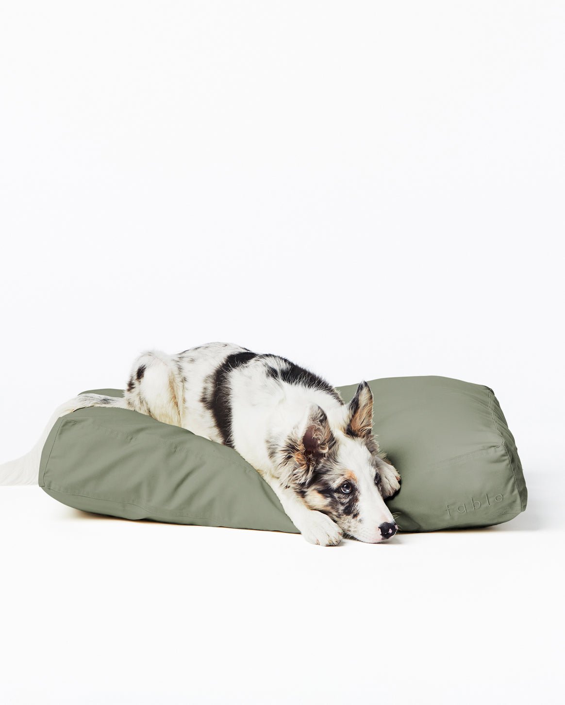 Fable Bed - Eva Pet - Fable Pets