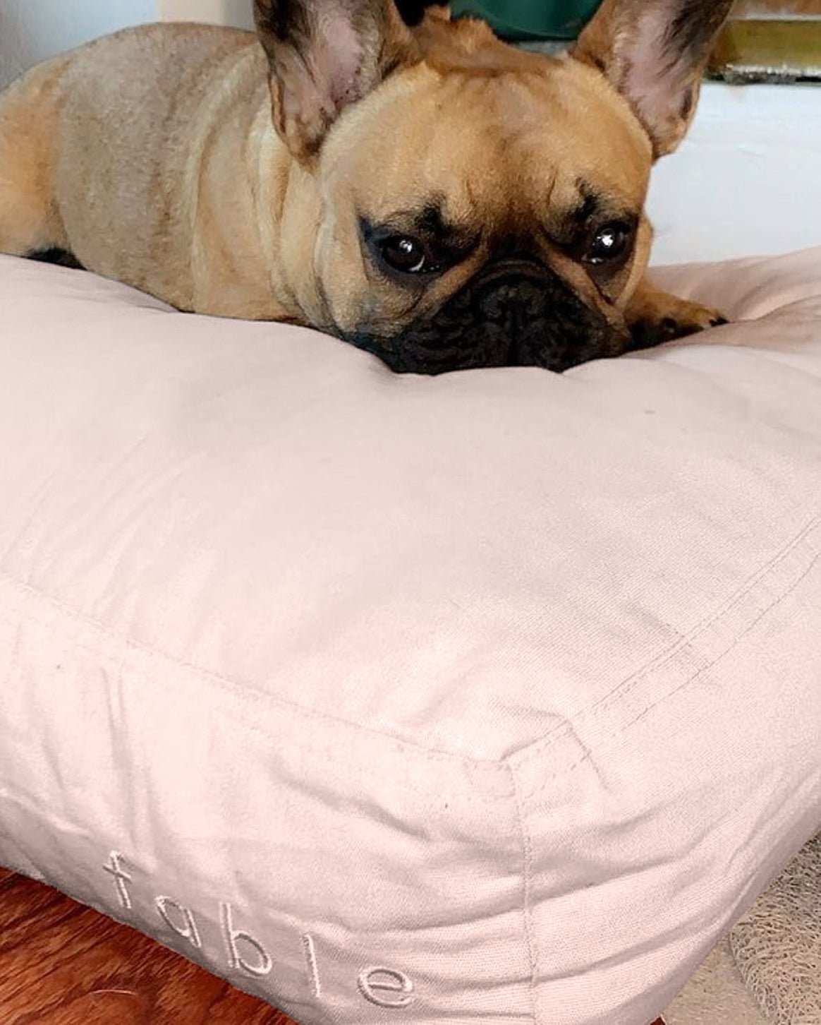 Fable Bed - Eva Pet - Fable Pets