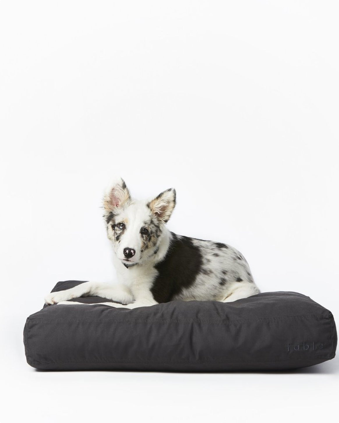 Fable Bed - Eva Pet - Fable Pets
